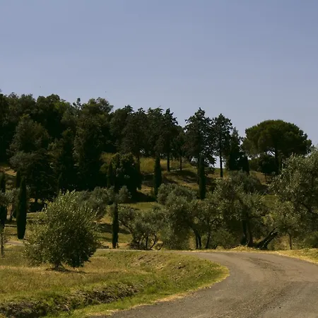 Aia Leccioni Farm stay Micciano