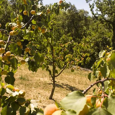 Gospodarstwo agroturystyczne Aia Leccioni