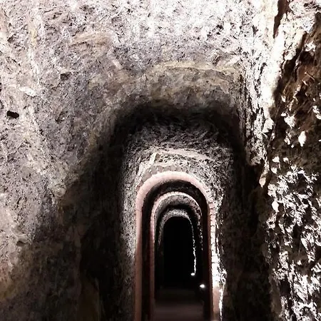 Aia Leccioni Micciano