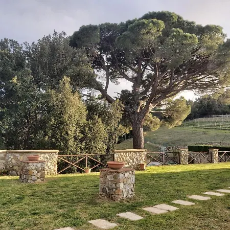 Farm stay Aia Leccioni *