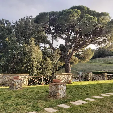 Vakantieboerderij Aia Leccioni *