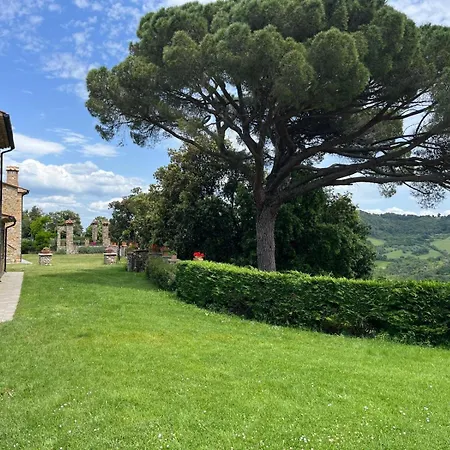Aia Leccioni Micciano