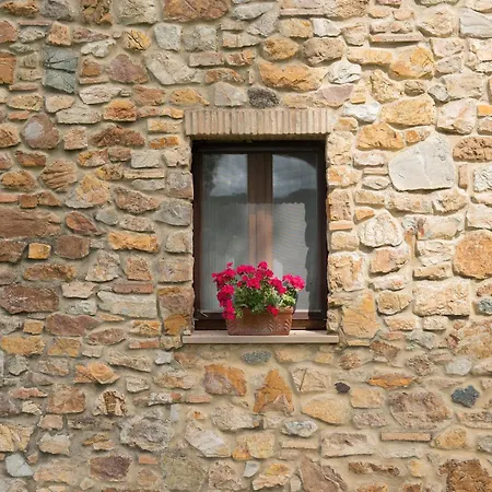 Aia Leccioni Séjour à la ferme Micciano