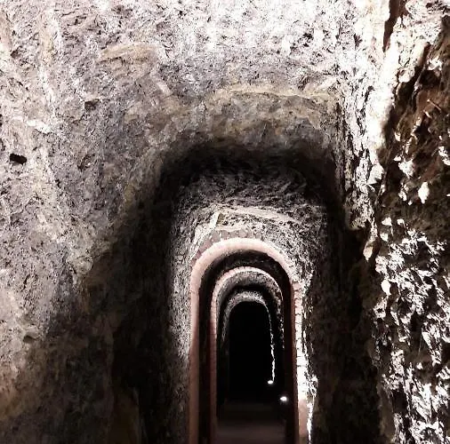 Aia Leccioni Micciano